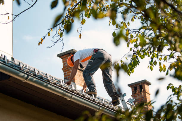 Best Emergency Roof Repair  in Redway, CA